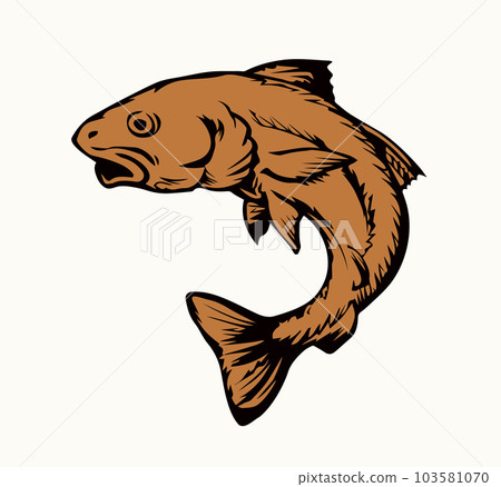 Vector drawing. Fish in the water 103581070