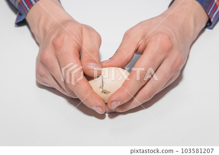 A man's hands close-up reveal a chicken egg with a chicken inside on a white background 103581207
