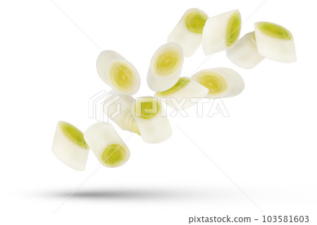 Leek slices. White and green onion slices isolated on white background. A group of leek slices of different sizes and shapes scatter in different directions. Leek slices. White and green onion slices isolated on white background. A group of leek slices of different sizes and shapes scatter in different directions. 103581603