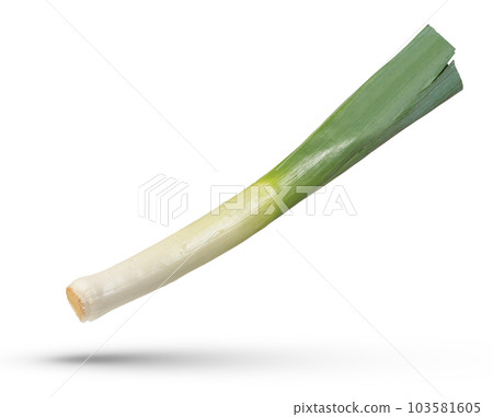 Full size leek. Leek isolated on white background. The concept of tasty and healthy food, replacing the usual onion. Full size leek. Leek isolated on white background. The concept of tasty and healthy food, replacing the usual onion. 103581605