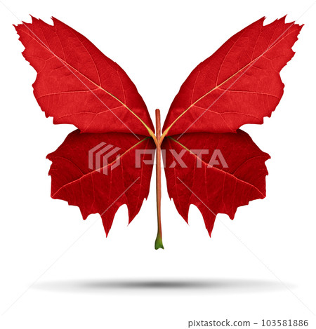 Red Butterfly Leaf Red Butterfly Leaf 103581886