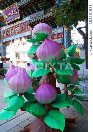橫濱中華街春節桃花裝飾 橫濱中華街春節桃花裝飾 103581981