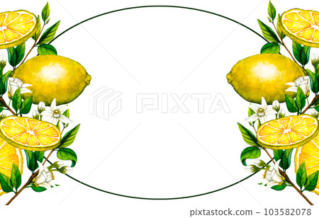 Watercolor frame lemon tree branch with flowers isolated on white background. Hand drawn botanical illustration of yellow citrus fruits. Clipart objects for design Watercolor frame lemon tree branch with flowers isolated on white background. Hand drawn botanical illustration of yellow citrus fruits. Clipart objects for design 103582078