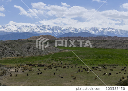 Summer mountain landscape. Kyrgyzstan mountains. Issyk-Kul region. 103582450