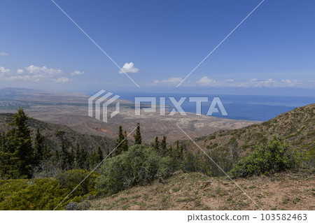Issyk-Kul - lake in Kyrgyzstan. Summer mountain landscape. Kyrgyzstan mountains. 103582463