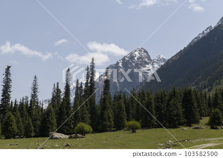 Summer mountain landscape. Kyrgyzstan mountains. Issyk-Kul region. 103582500