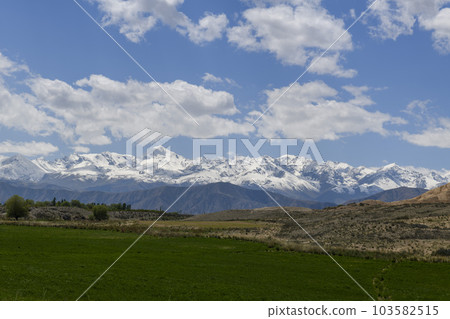 Summer mountain landscape. Kyrgyzstan mountains. Issyk-Kul region. 103582515
