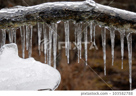 Icicle 103582788