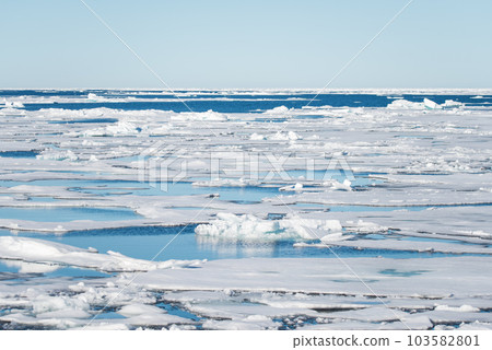 Arctic seascape 103582801
