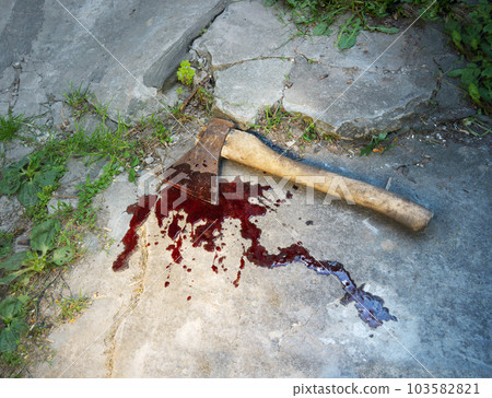 Irone axe lies on the ground Irone axe lies on the ground 103582821