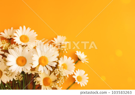 White daisies on yellow background. Festive floral wallpaper with copy space. Natural backdrop for invitation card. Natural design illustration for mother's, father's day, birthday.  103583263