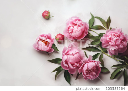 Peonies on marble background with copy space. Abstract natural floral frame layout with text space. Romantic feminine composition. Wedding invitation. International Women day, Mother Day concept 103583264