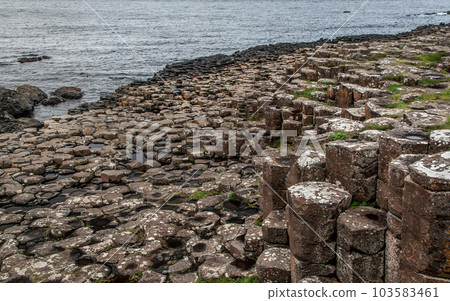 Detail of hexagonal stone pillars at Giants Causeway, Northern Ireland, sea in background. Detail of hexagonal stone pillars at Giants Causeway, Northern Ireland, sea in background. 103583461