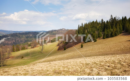View of Pienin Mountains landscape, Poland. View of Pienin Mountains landscape, Poland. 103583568