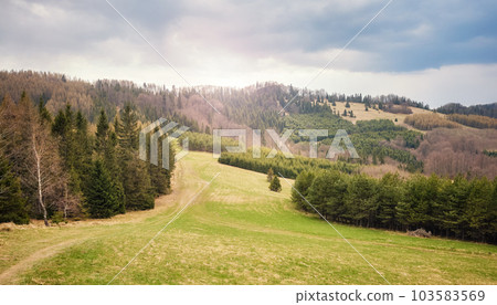 Panoramic view of Pienin Mountains landscape, Poland. 103583569