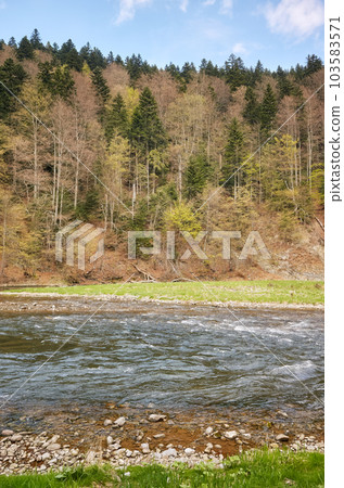 Dunajec River in Pienin Mountains, Poland. 103583571