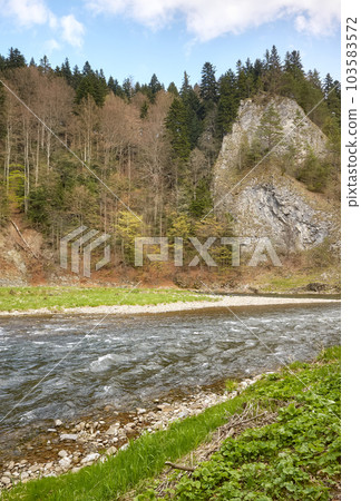 Dunajec River in Pienin Mountains, Poland. Dunajec River in Pienin Mountains, Poland. 103583572