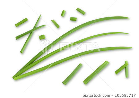 Green onion isolated on the white background. Top view. Flat lay. Green onion isolated on the white background. Top view. Flat lay. 103583717