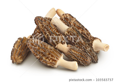 raw morel mushroom isolated on white background with full depth of field 103583737