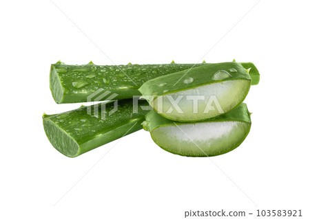 Fresh Aloe vera slice with aloe gel isolated on white background. Aloe vera leaf slice for design of herbal medicine or skin care treatment. 103583921