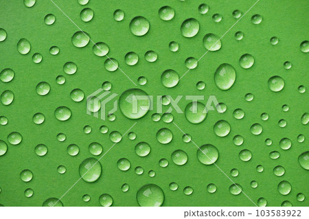 Water drops on green background. Abstract water drops texture. 103583922