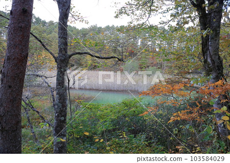 在五色沼欣賞紅葉（福島縣北鹽原村里磐梯禦都沼、五色沼） 103584029