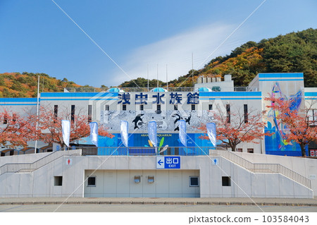 Sea creatures you can meet in Asamushi (Asamushi Aquarium, Aomori City, Aomori Prefecture) 103584043