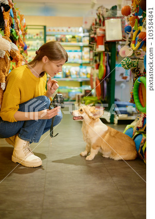 Cheerful female customer buying dog harness in pet store 103584841
