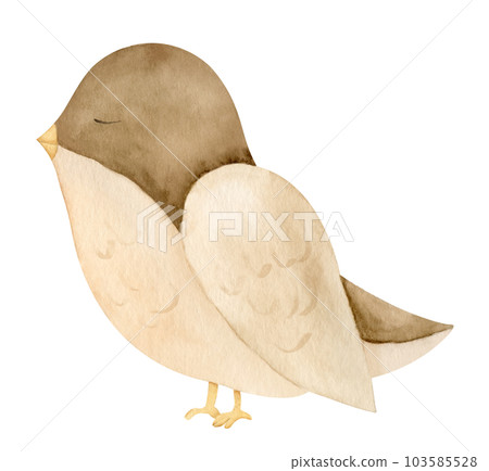 Cute little Bird. Hand draw watercolor illustration of sparrow on white isolated background for Baby Shower greeting cards or newborn invitations in cartoon style. Drawing for childish textile. 103585528