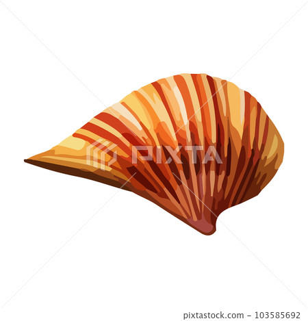 Vector Seashell watercolor illustration. Hand drawn underwater element design. Artistic vector marine design element. Illustration for greeting cards, printing and other design projects. 103585692
