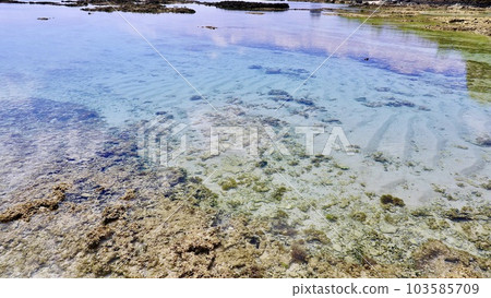 沖繩縣伊是名島二見濱海水浴場的海平面 沖繩縣伊是名島二見濱海水浴場的海平面 103585709