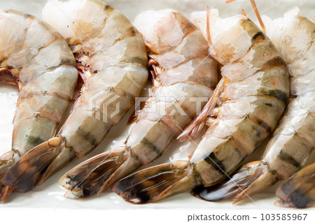 Shrimp (cultured black tiger). 103585967