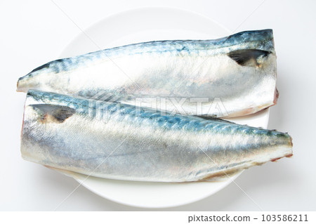 2條鯖魚片。 （白色背景） 103586211