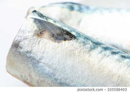 Close-up of fillet of mackerel. (white background) 103586403