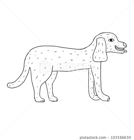 Cartoon doodle dog isolated on white background. 103586630