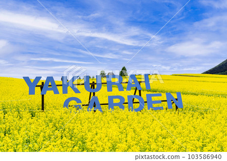 A park with a hill and a field of rapeseed flowers, Yakurai in early summer, Kami-cho, Miyagi Prefecture 103586940