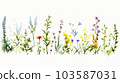 Herb garden watercolor sketch style illustration [white background] 103587031