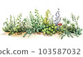 Herb garden watercolor sketch style illustration [white background] 103587032