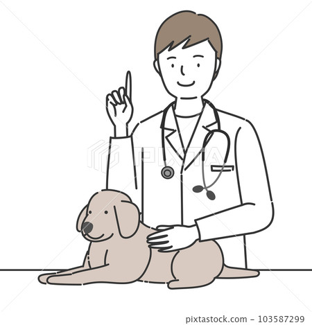 veterinarian examining a dog 103587299