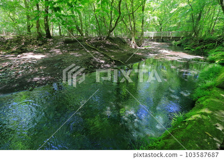 鮮綠的黑岳原始森林和清澈的溪流（由布市禦池） 103587687