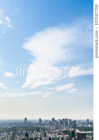 [東京]晴天的新宿副中心 103587708