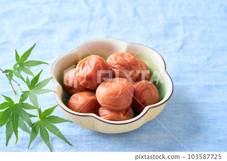 Umeboshi(來自紀州的 Nanko Ume) Umeboshi(來自紀州的 Nanko Ume) 103587725