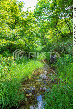 Nishi-Oashi Forest Village Waterfront Fresh Green Scenery Kanuma City 103588058