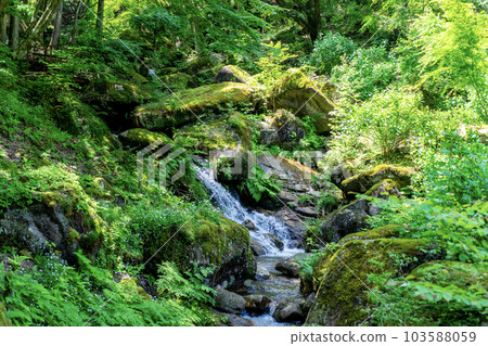 Stream flowing through mountains 103588059