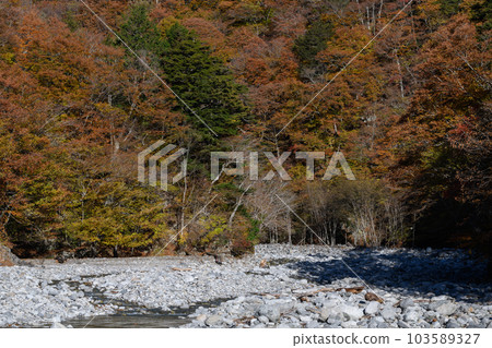 Autumn leaves of Oku Chichibu 103589327