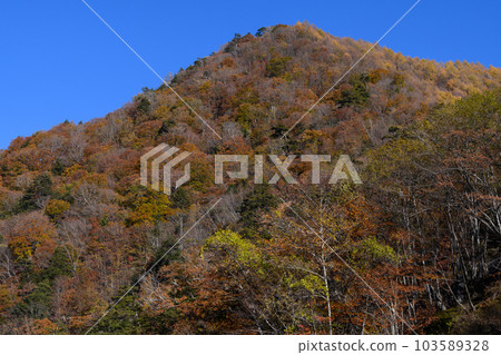 Oku Chichibu秋葉 103589328