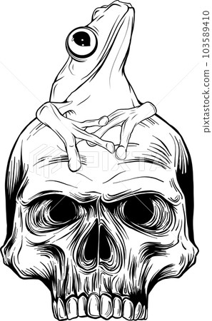 Monochrome Drawing engraving style illustration skull with frog in it for design projects Monochrome Drawing engraving style illustration skull with frog in it for design projects 103589410