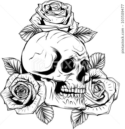 monochrome Vintage human skull with rose flowers isolated vector illustration monochrome Vintage human skull with rose flowers isolated vector illustration 103589477