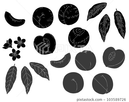 手繪桃花剪影插畫 手繪桃花剪影插畫 103589726