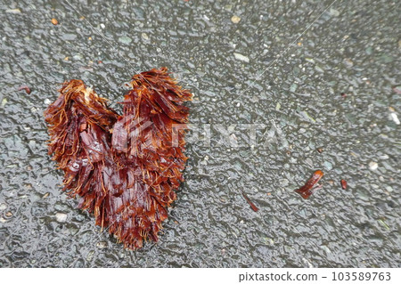 心形松果1個 103589763